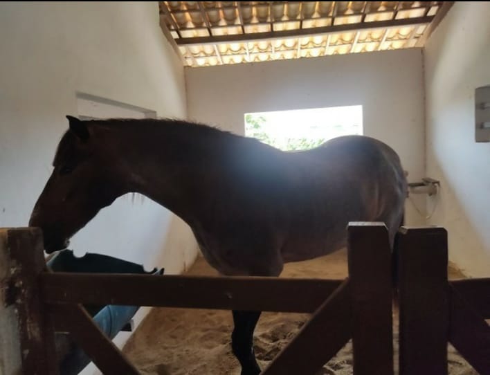 Lote no Condomínio FAZENDA REAL I / II com 750 m2, bem localizado.