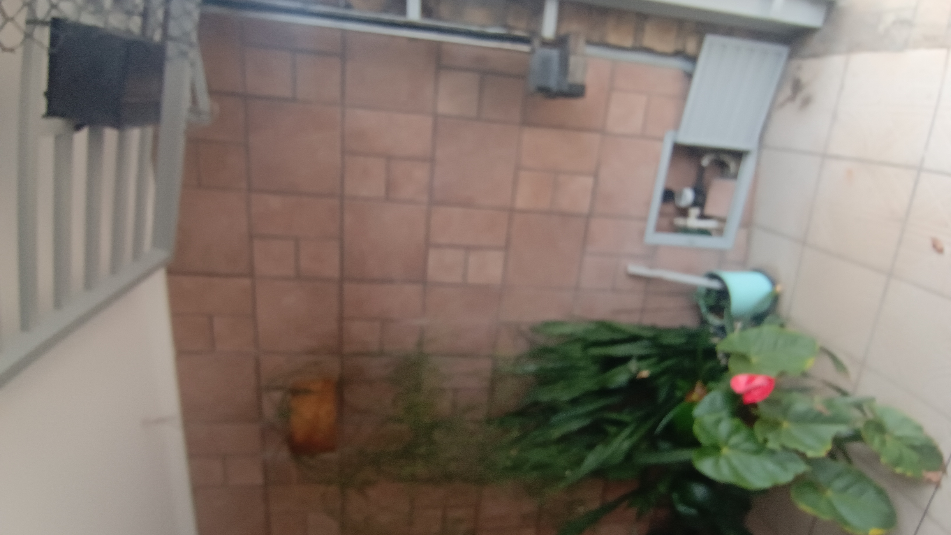casa a venda na vila primavera