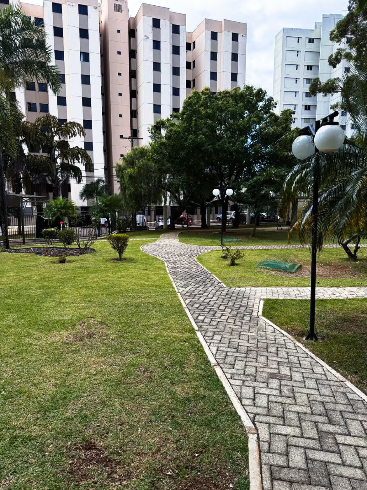 Galeria