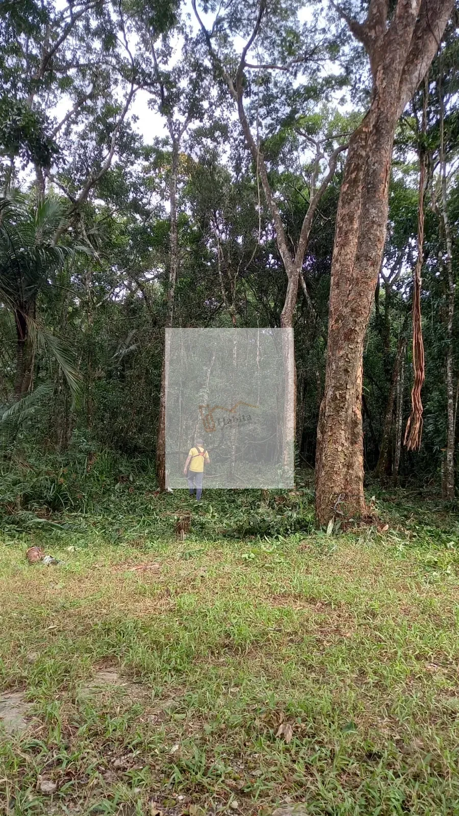 Lotes em Mongaguá 