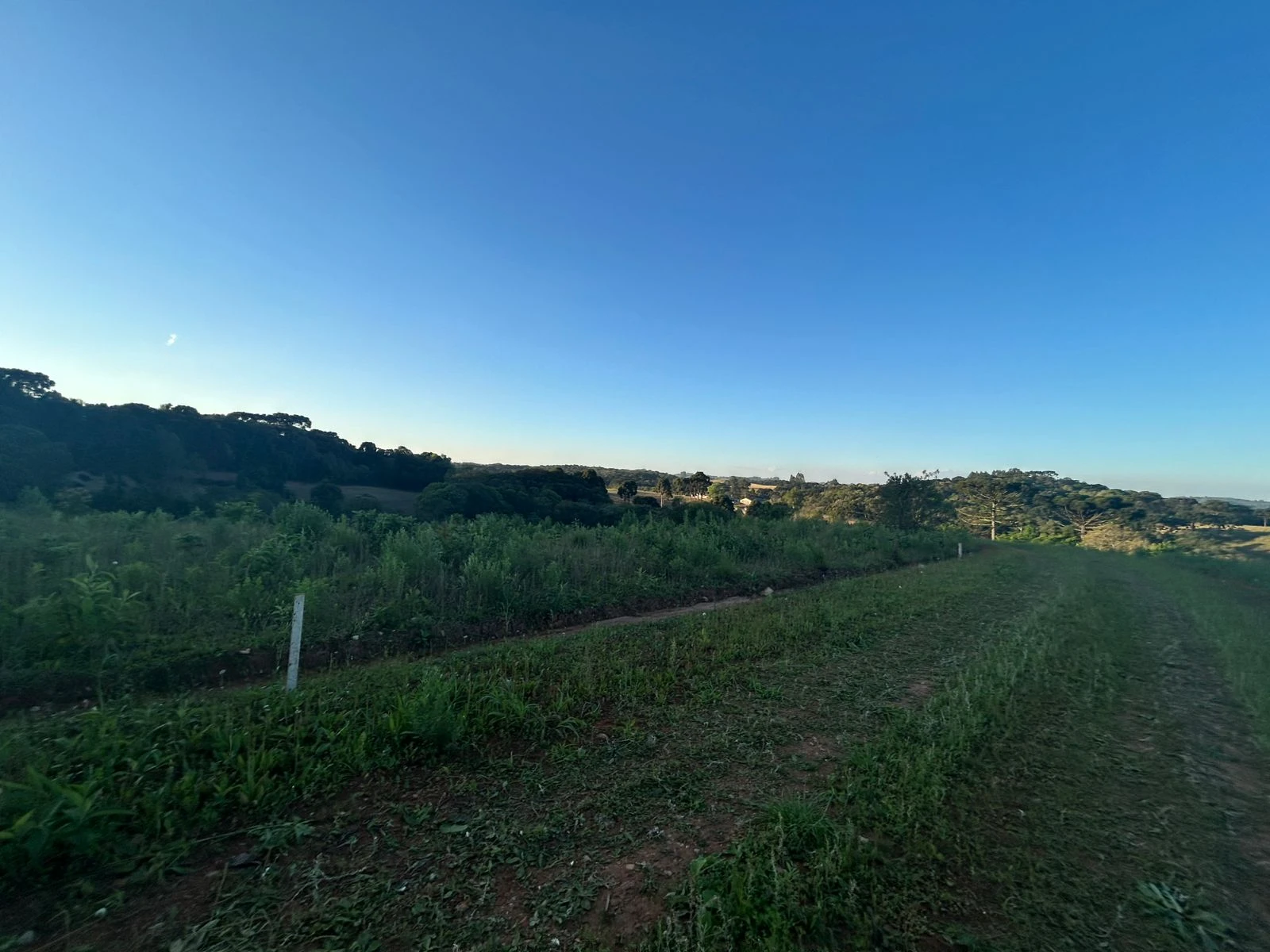 CHÁCARAS EM CONTENDA/ PR