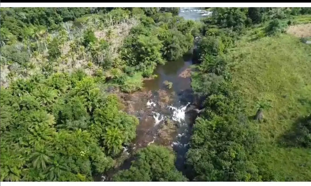 Ilha Fluvial Região de Una BA