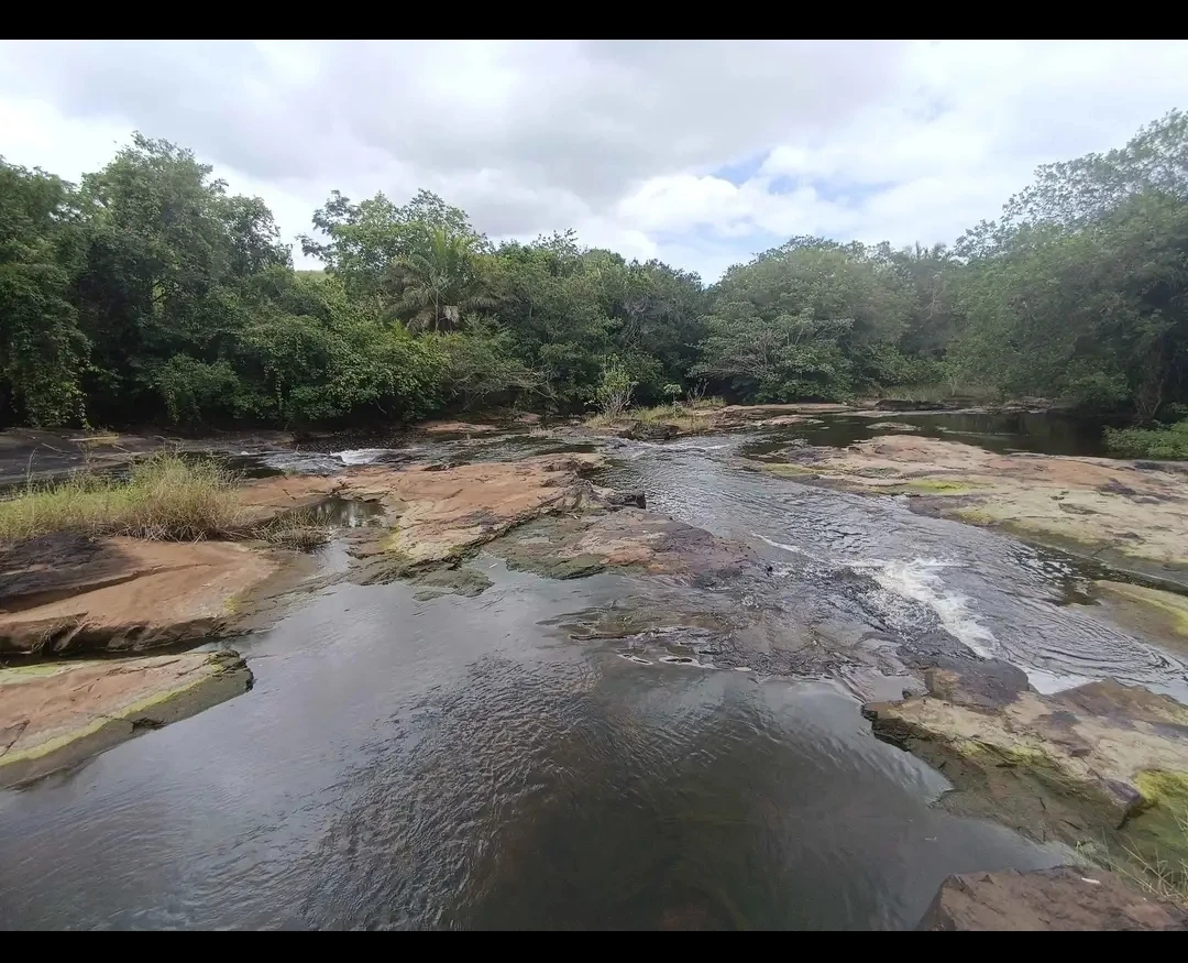 Ilha Fluvial Região de Una BA