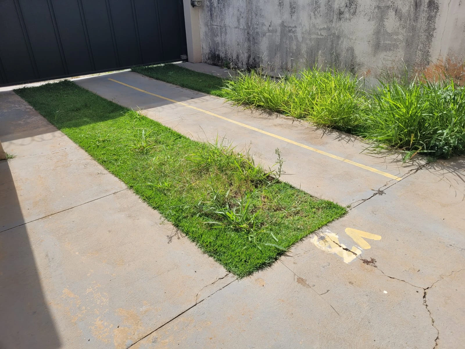 Lindo Apartamento Jardim Barão