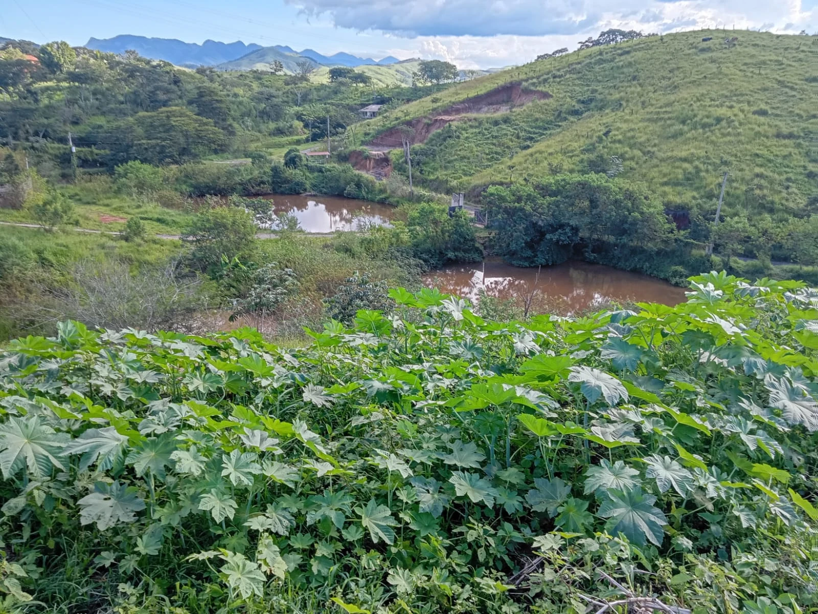 Chácara à venda em Volta Redonda com lago natural e 4.000m² | Terreno amplo em área tranquila e sem poluição
