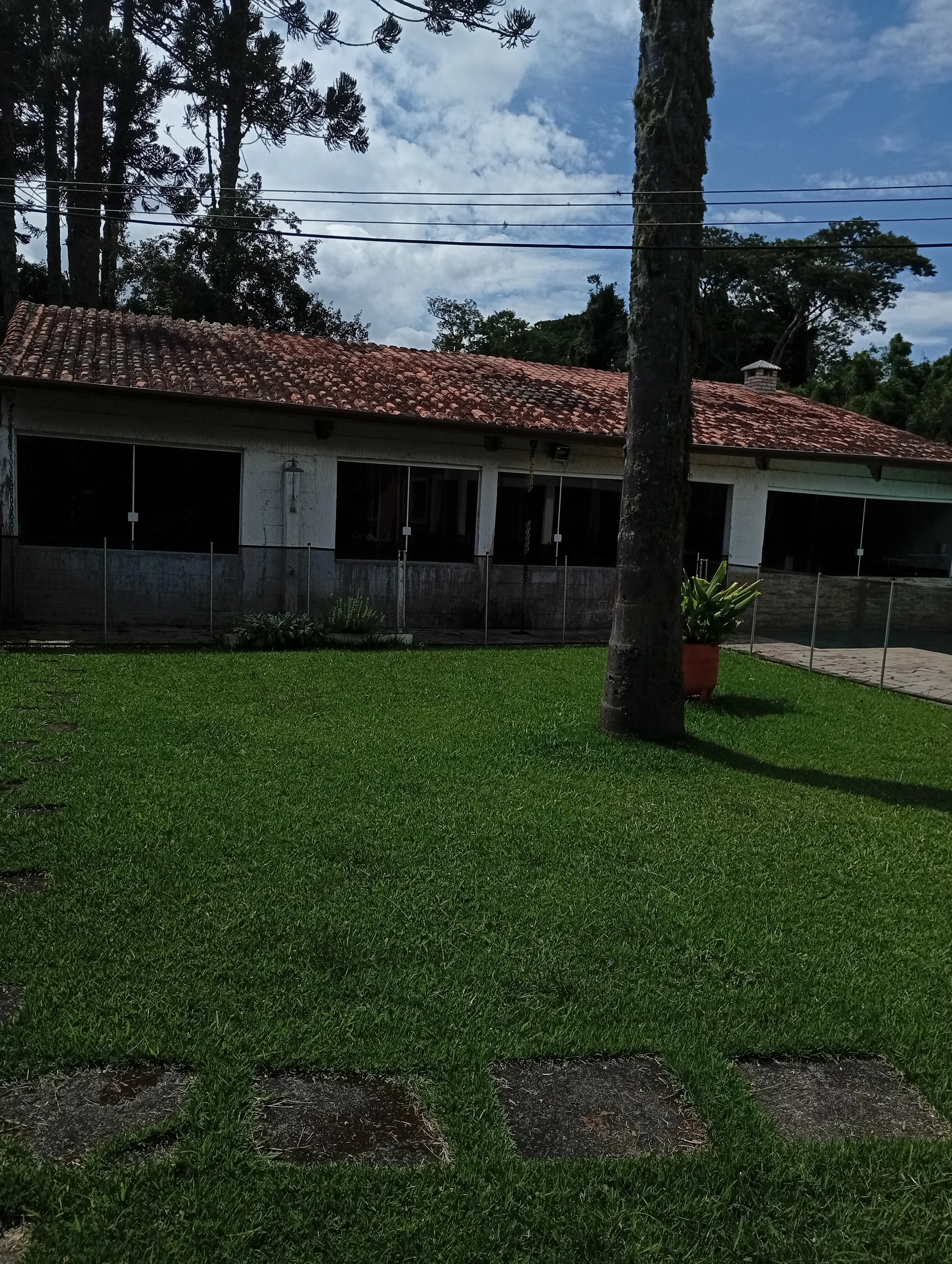 Miniatura 23