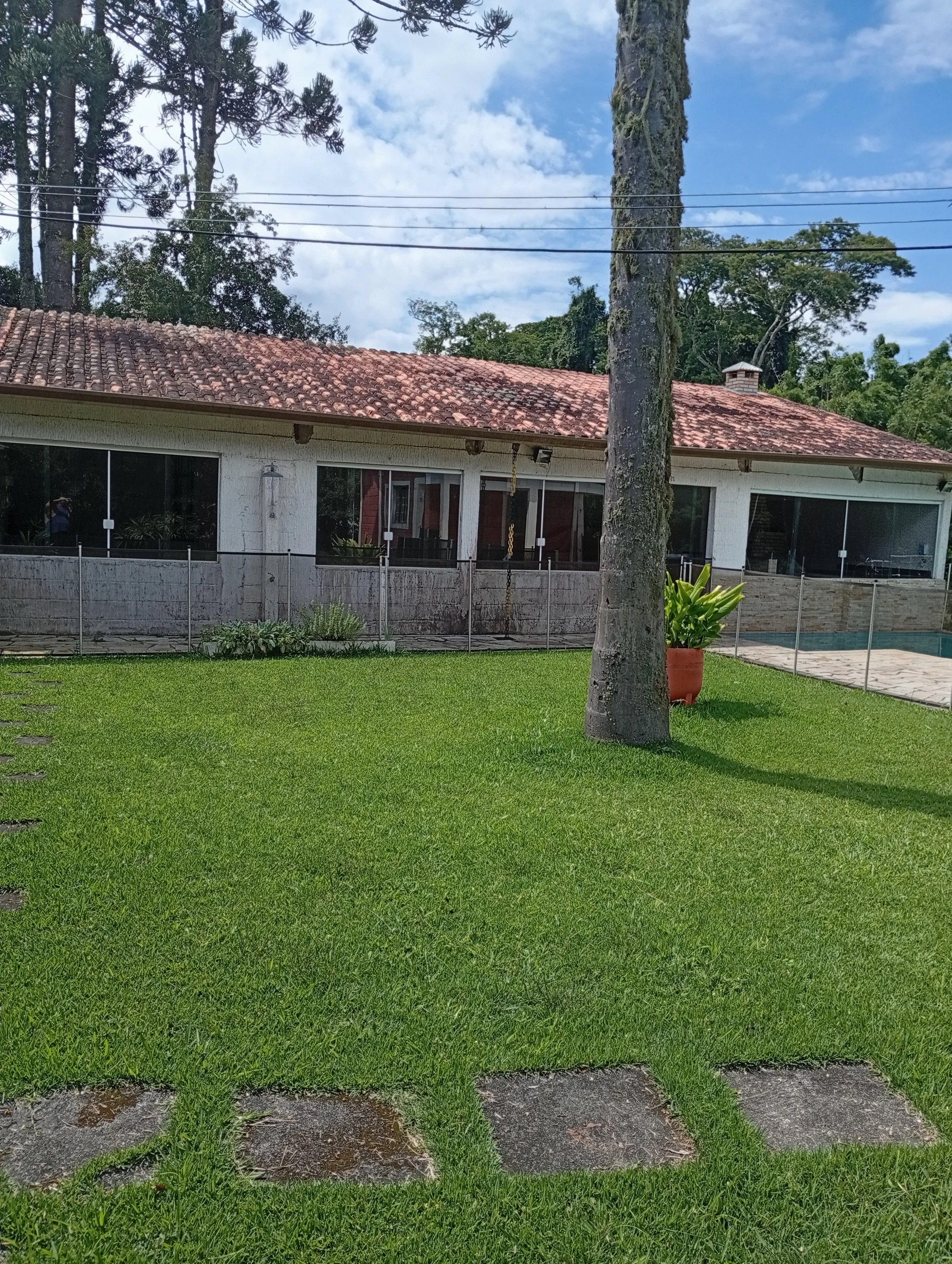 Miniatura 24