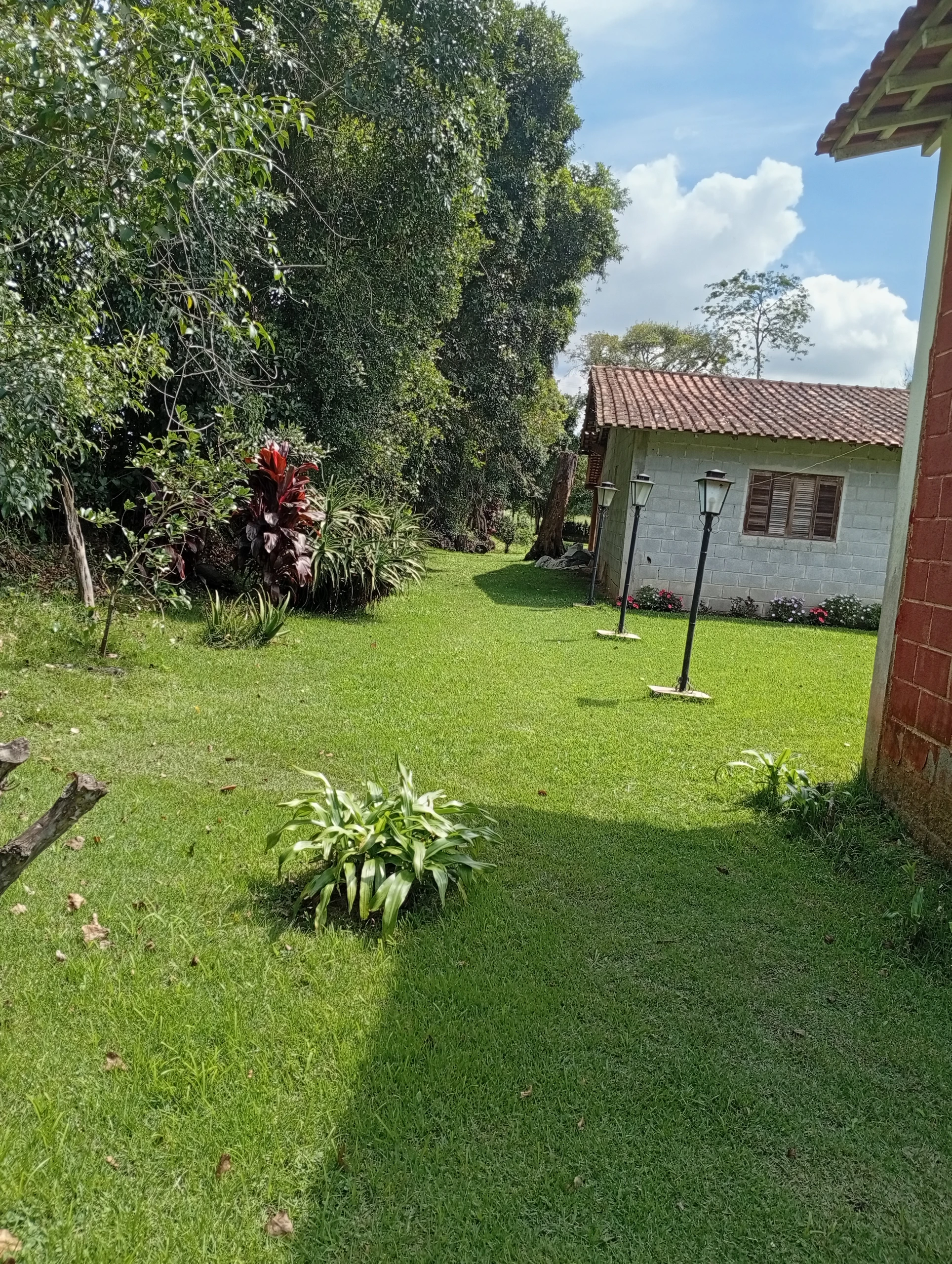Miniatura 19