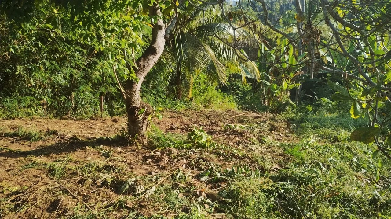 lote de 1000m2 em arembepe
