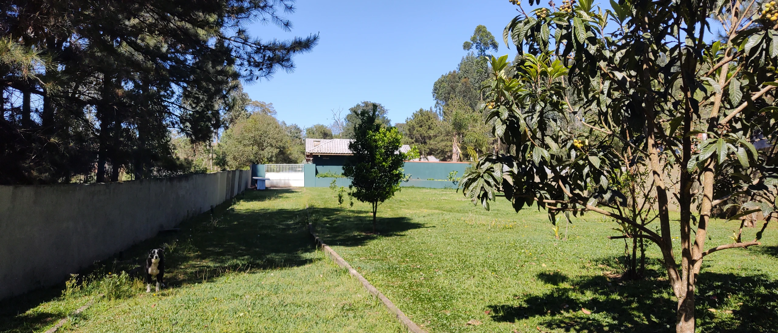 Chácara à venda em Campina Grande do Sul, Roseira, Com duas casas,piscina,internet fibra, 5.000m²