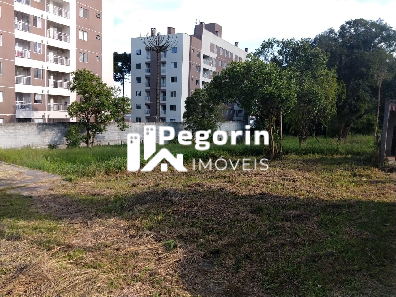 Terreno, 6325 m² - Foto 3
