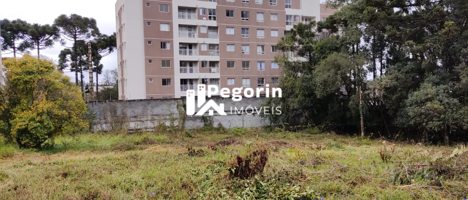 Terreno, 6325 m² - Foto 14
