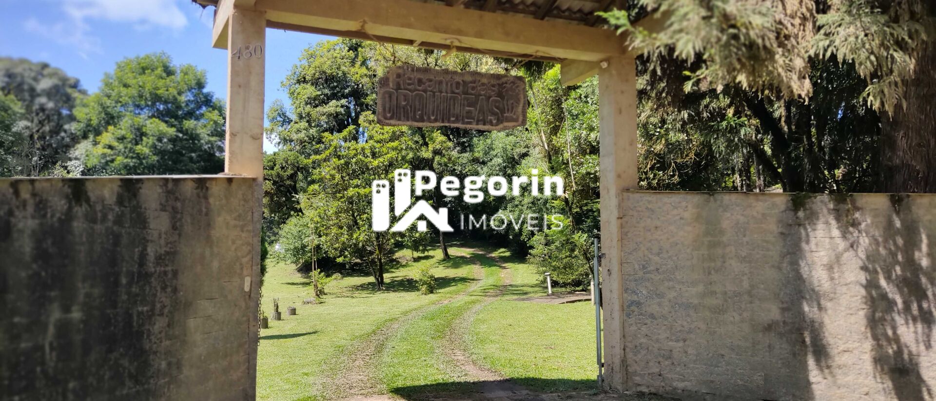 Sítio, 7 quartos, 4 hectares - Foto 6