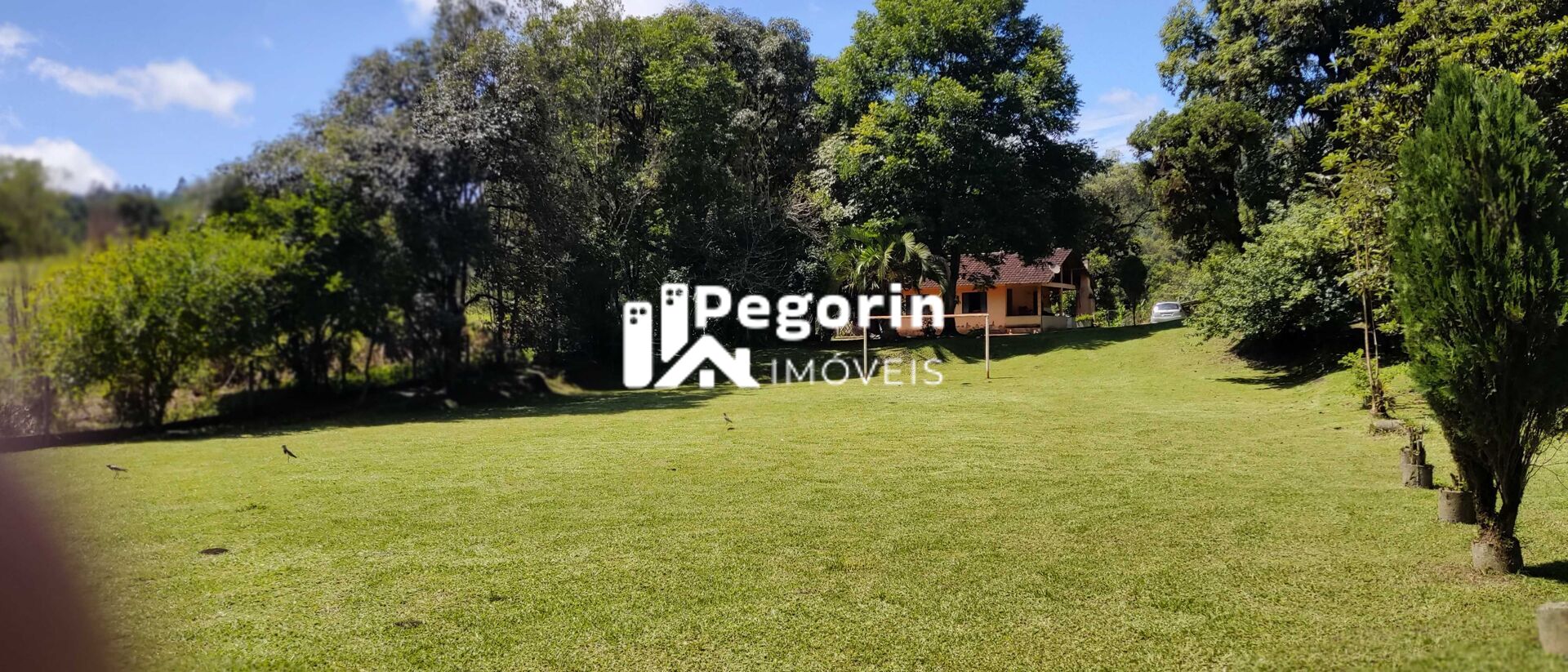 Sítio, 7 quartos, 4 hectares - Foto 7