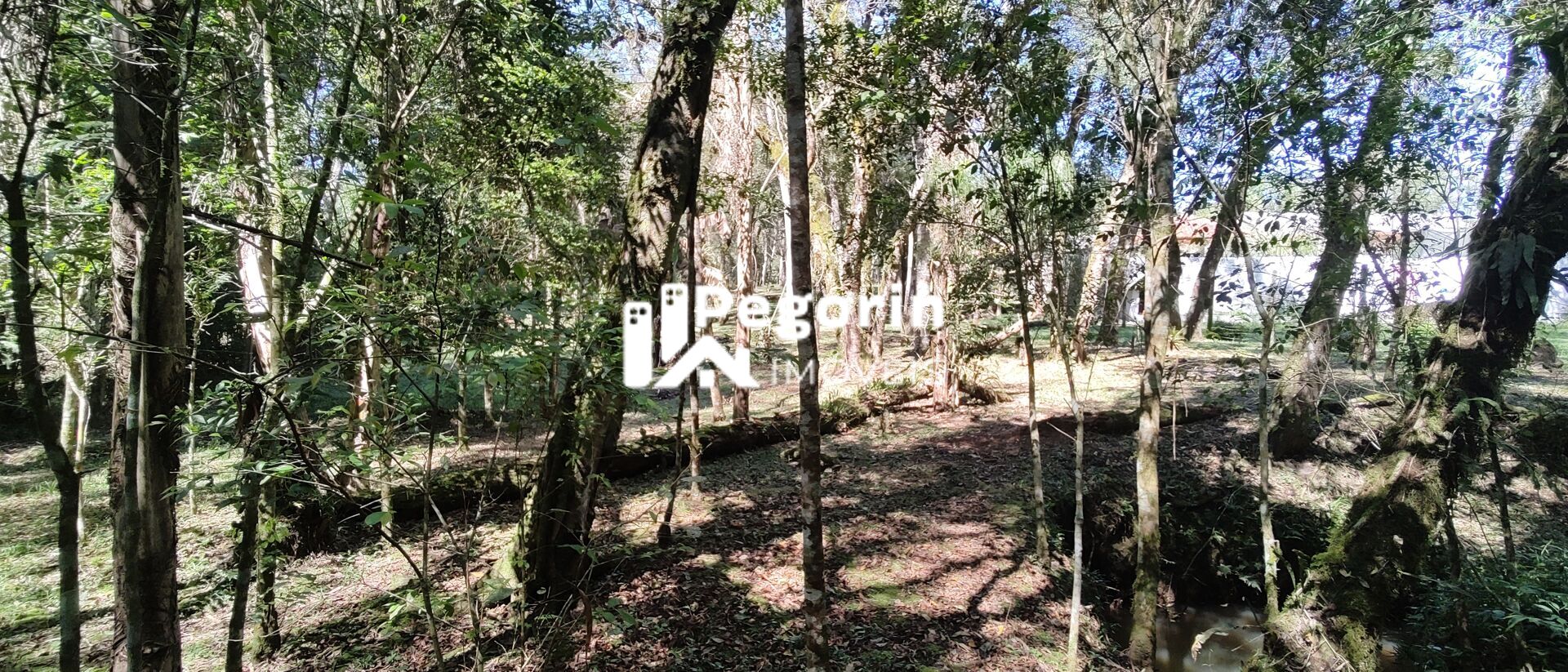 Sítio, 5 quartos, 5000 m² - Foto 39