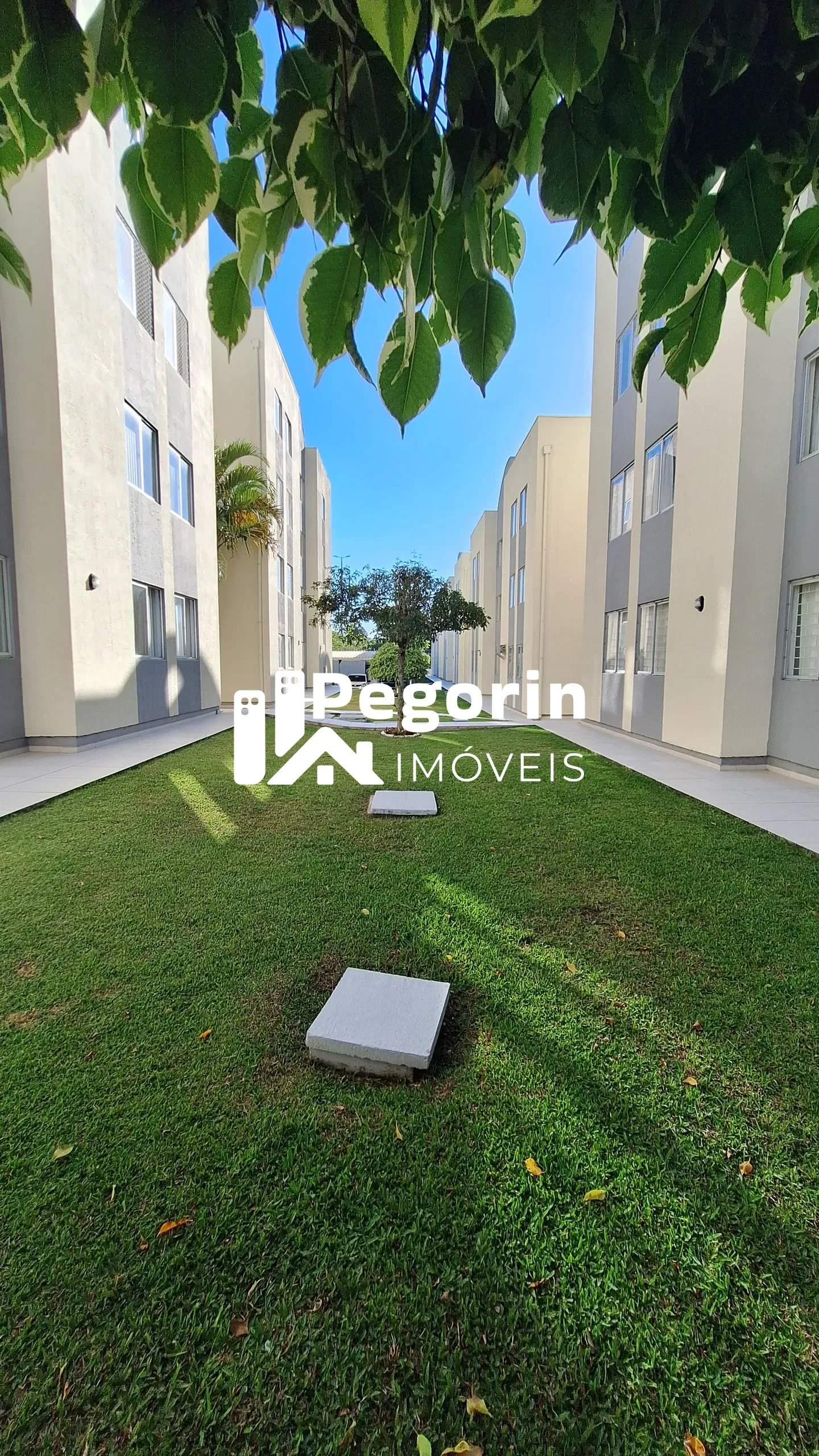 Apartamento, 3 quartos, 49 m² - Foto 17