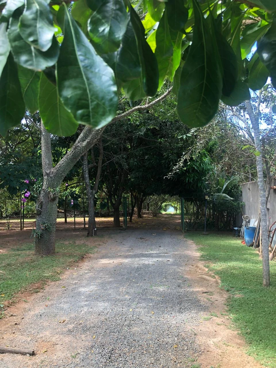 Foto 5