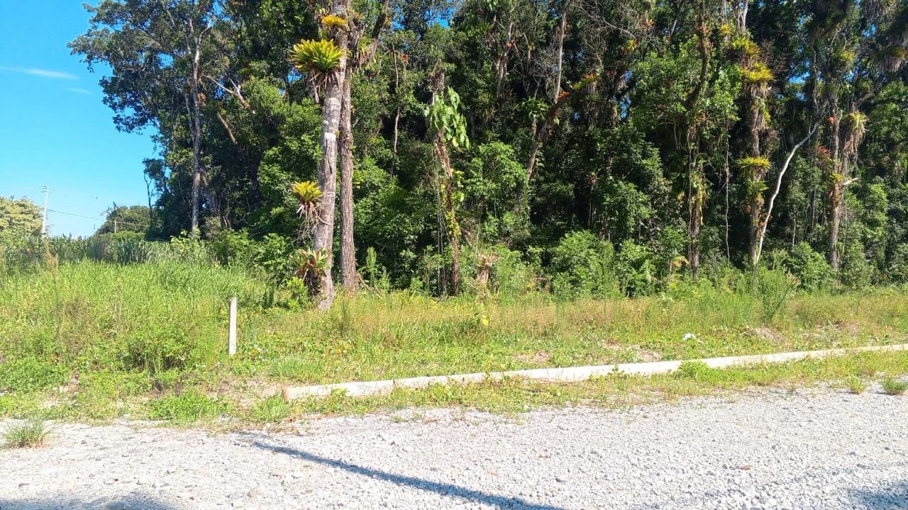 Terreno Parcelado Balneário Gaivotas - Matinhos