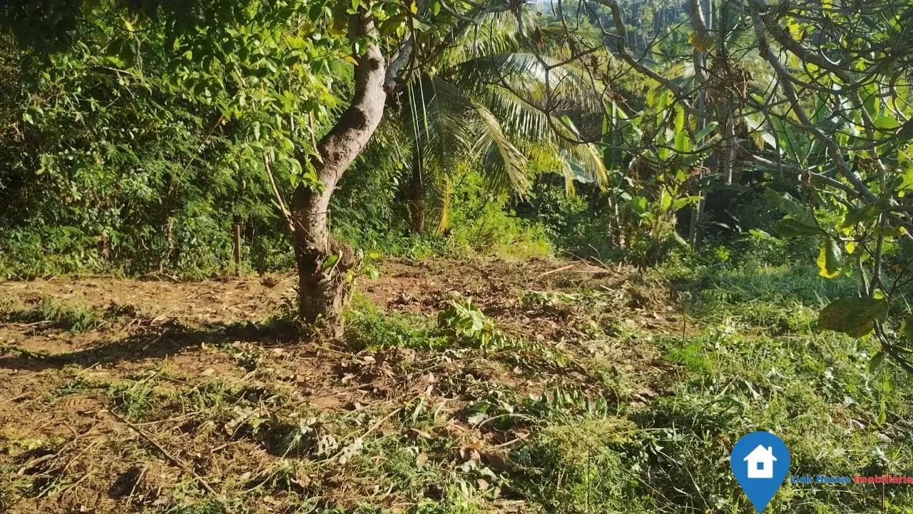 lote de 1000m2 em arembepe