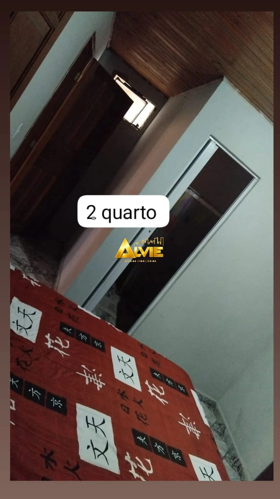 Miniatura 12