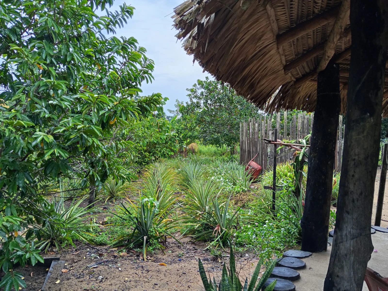  Belíssima Fazenda no Distrito de Vila Samuel – Excelente Oportunidade!