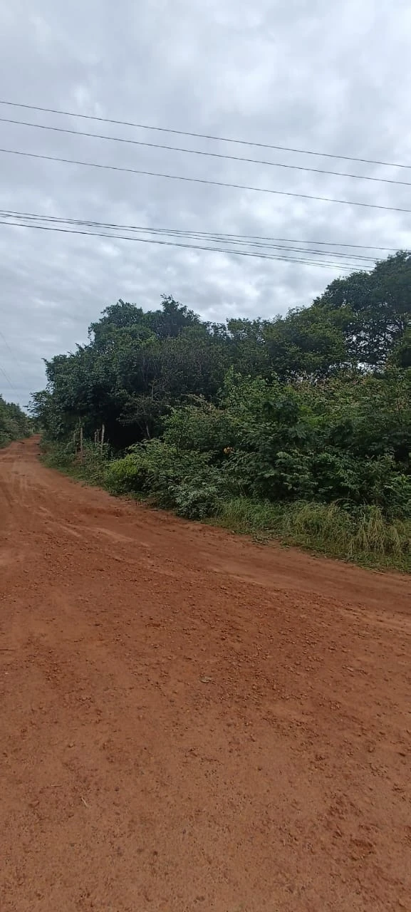 EXCELENTE PROPRIEDADE NO MAMOEIRO | PEDRO II/PI