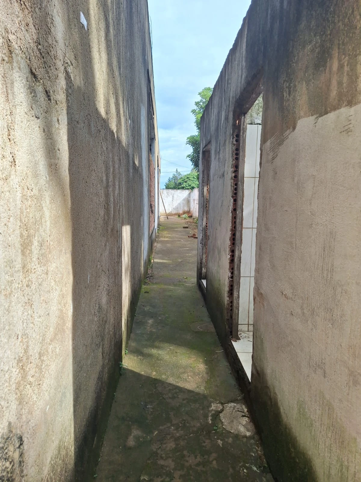 Miniatura 15
