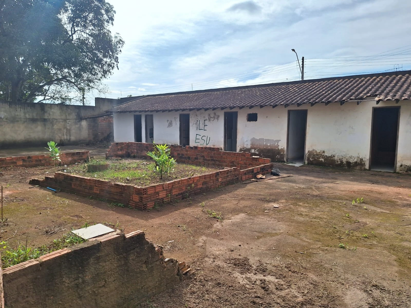 Miniatura 13
