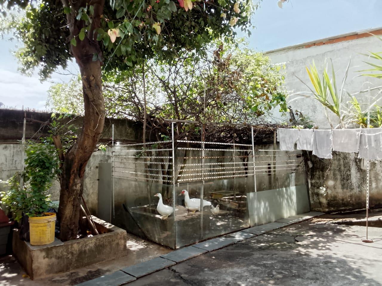 Casa para Venda, Jaraguá, 2 dormitórios, 1 suíte, 3 banheiros, 4 vagas
