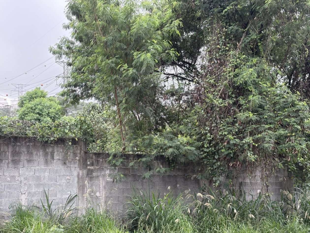 Terreno para Venda em São Paulo, City America