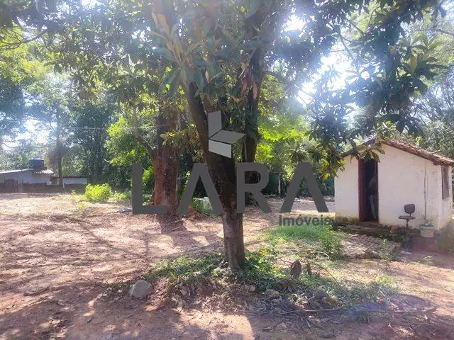 Miniatura 12