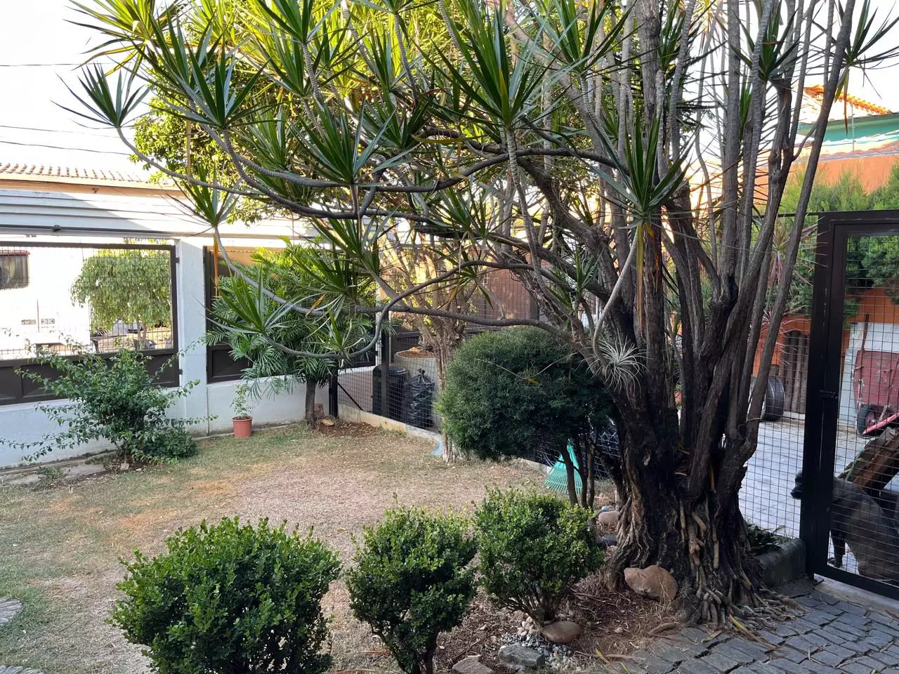 CASA COLONIAL DE 3 QUARTOS e 4 VAGAS DE GARAGEM