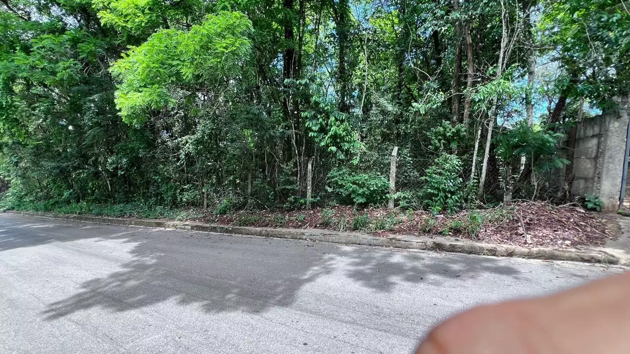 CHÁRACA PLANA REGIAO VIANOPOLIS
