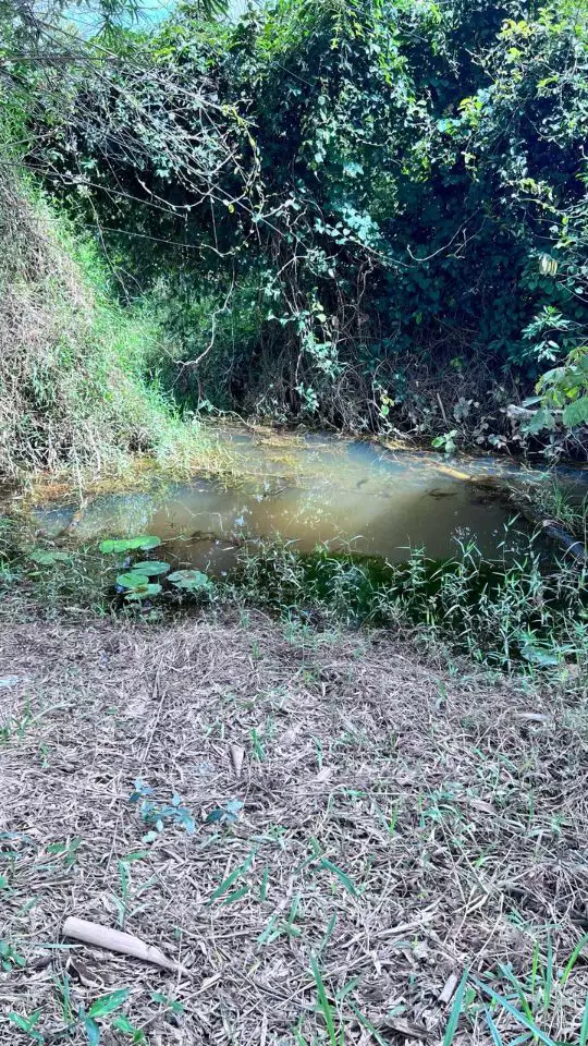 Sítio - Explore a Natureza no Seu Próprio Paraíso em Urucuia Esmeraldas