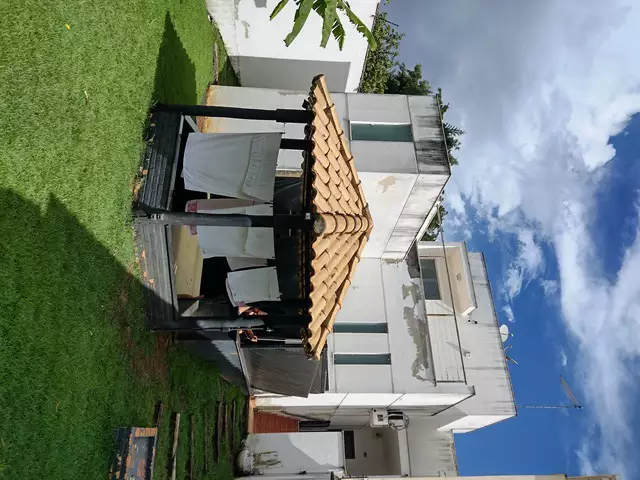 Miniatura 13