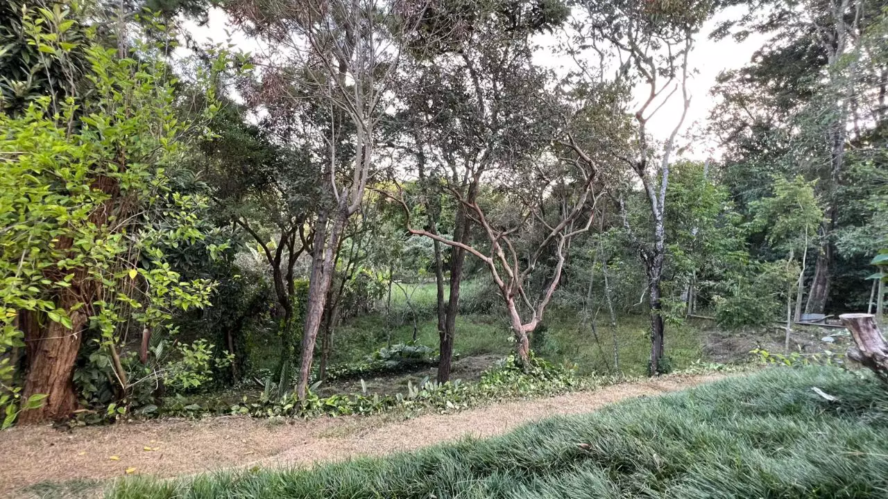 Sítio muito bem localizado no Bairro Quinta dos Godoy.