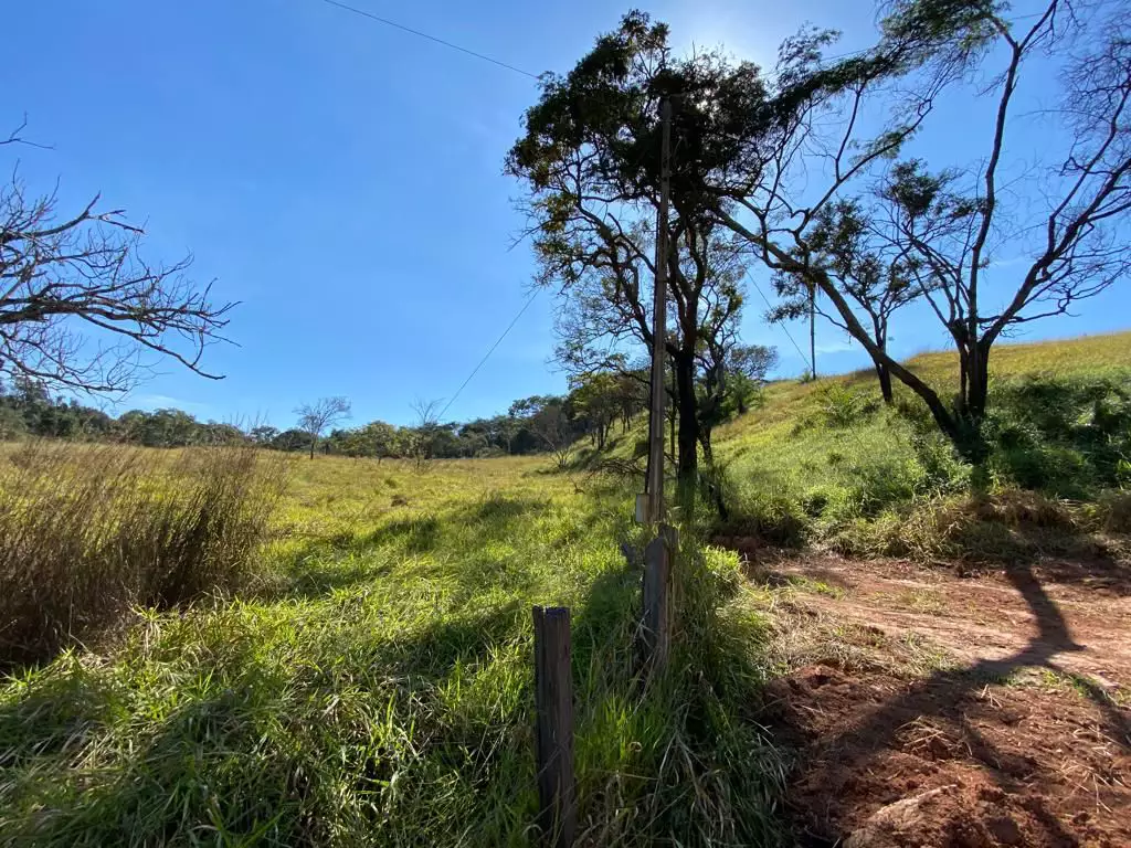 Chácaras de 20.000m² com excelente localização, em Vianópolis, Flores e Florestas.
