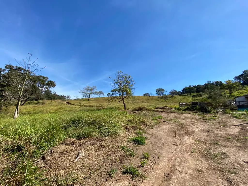 Chácaras de 20.000m² com excelente localização, em Vianópolis, Flores e Florestas.