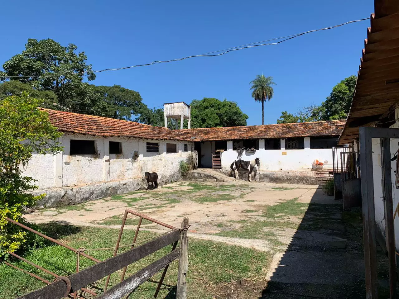 Excelente oportunidade para quem deseja um Haras