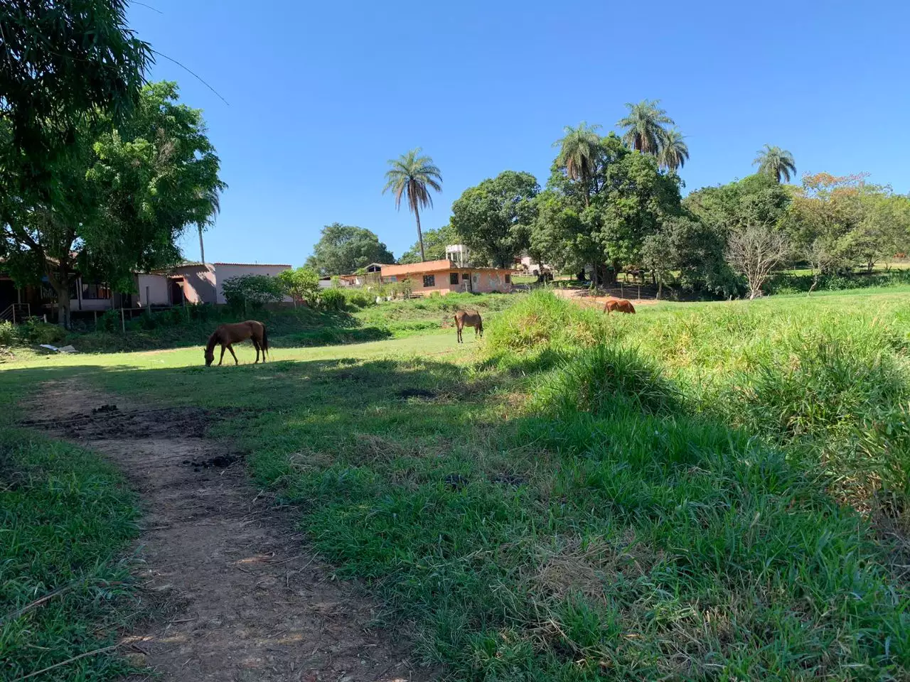 Excelente oportunidade para quem deseja um Haras