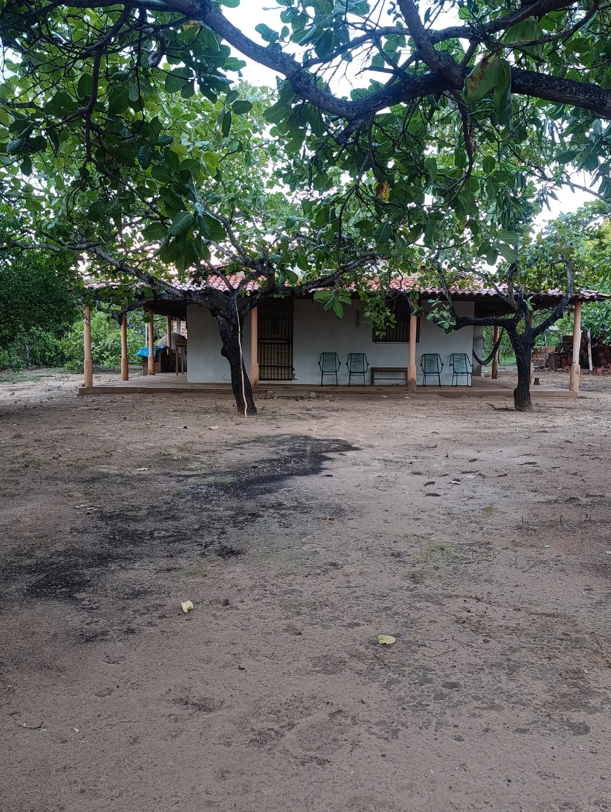 Chácara com Casa e Árvores Frutíferas à Venda em Laginhas – Pedro II/PI
