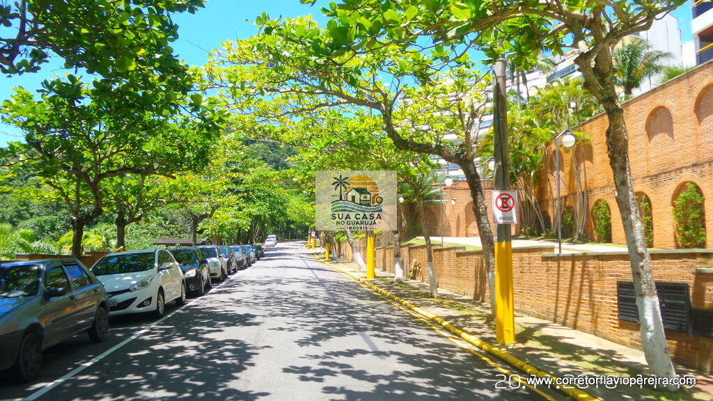 Miniatura 36
