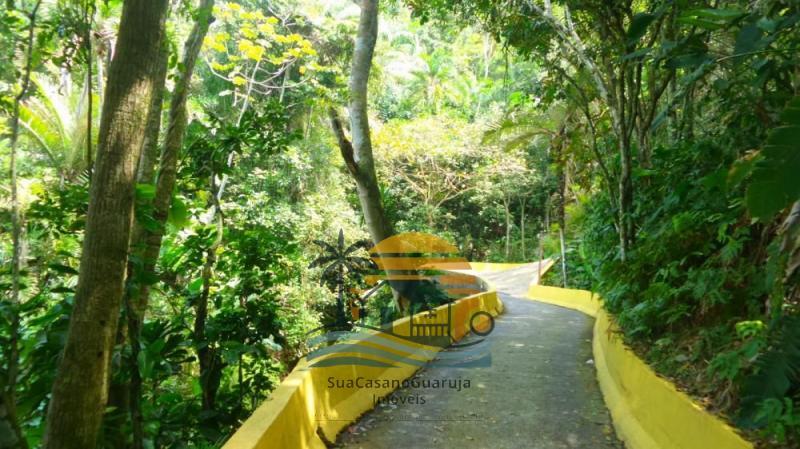 Miniatura 24