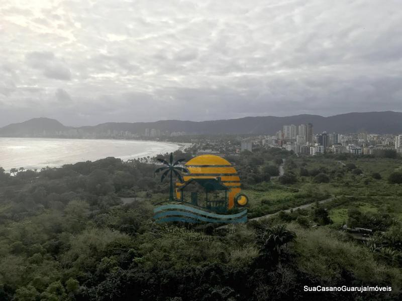 Miniatura 33