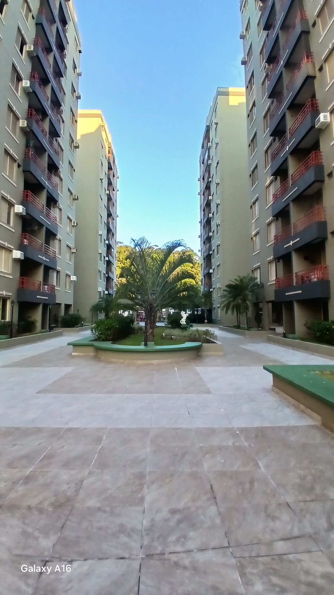 Miniatura 24