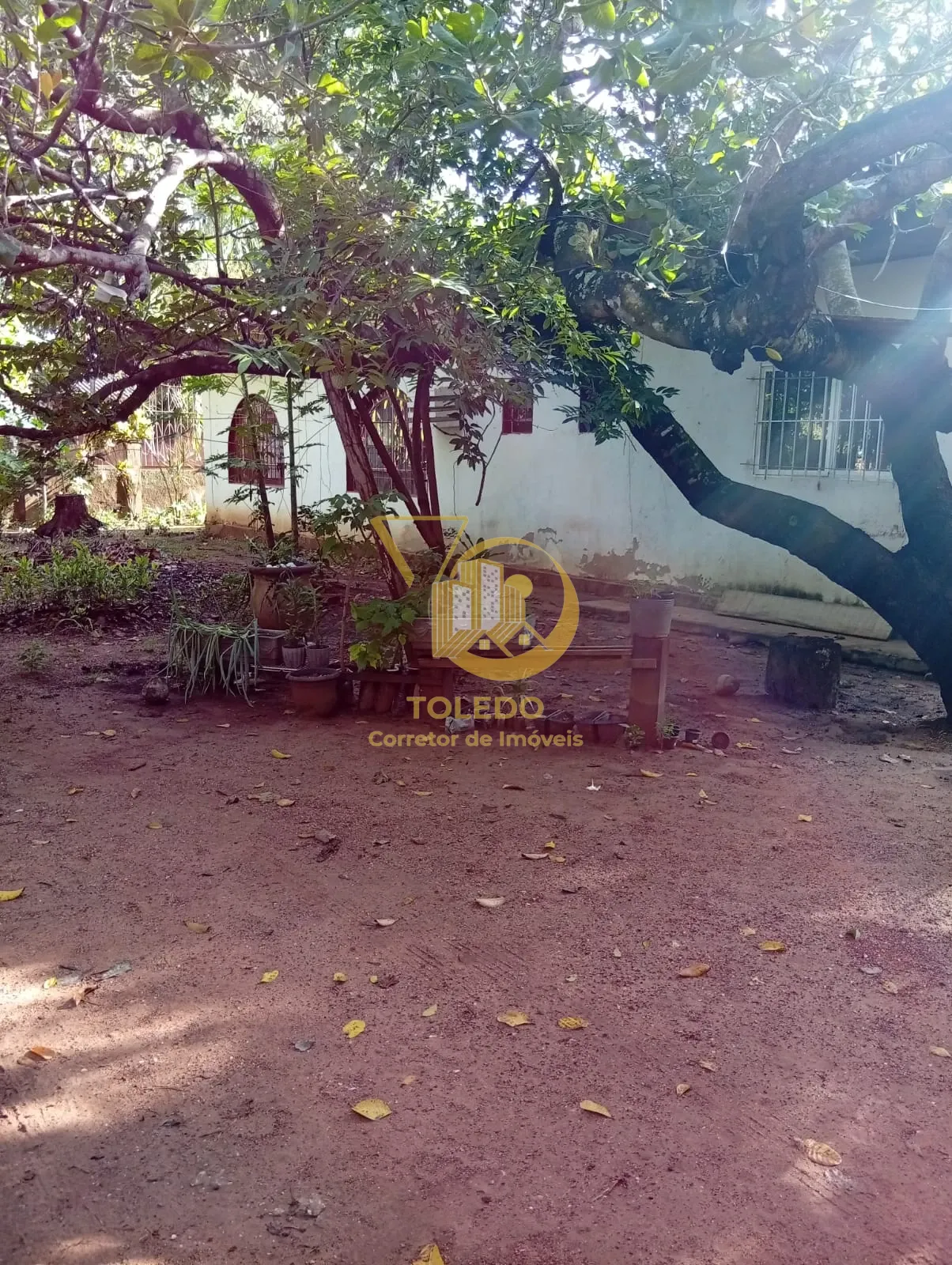 Miniatura 14
