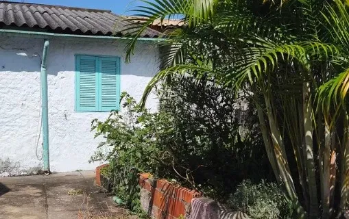 Miniatura 19