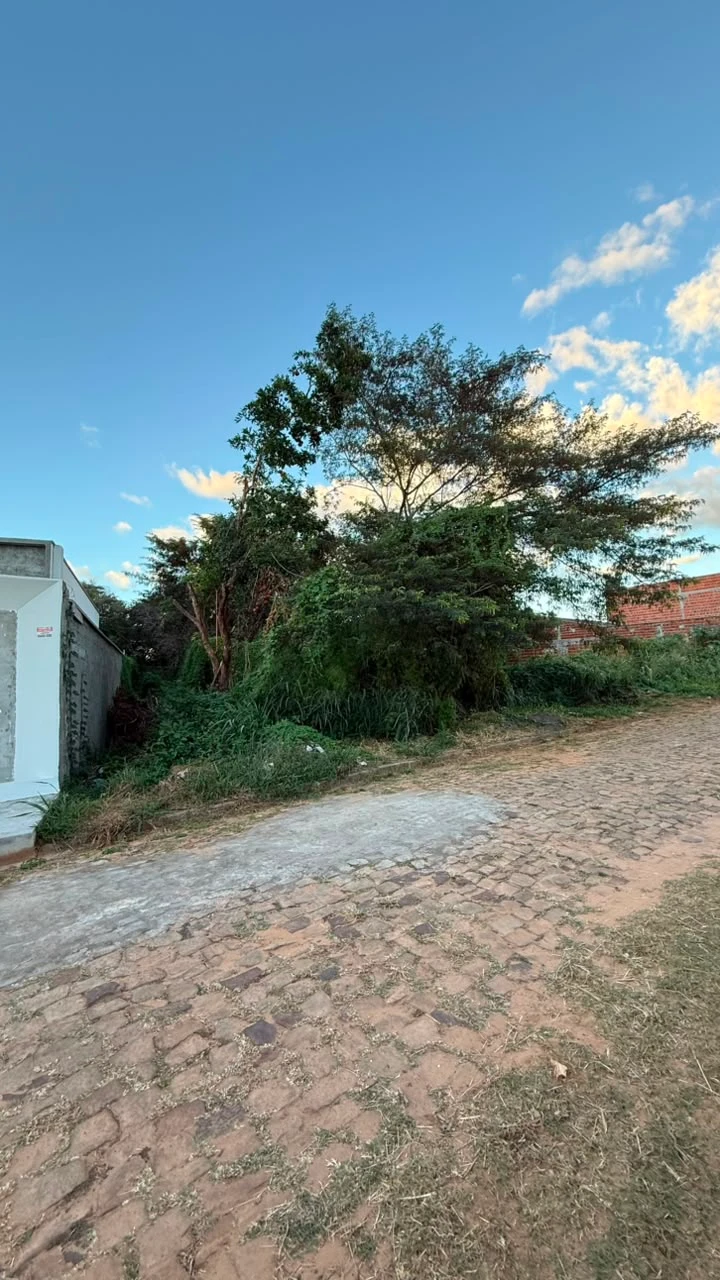 TERRENO À VENDA – VILA DAS FLORES | Pedro II/PI
