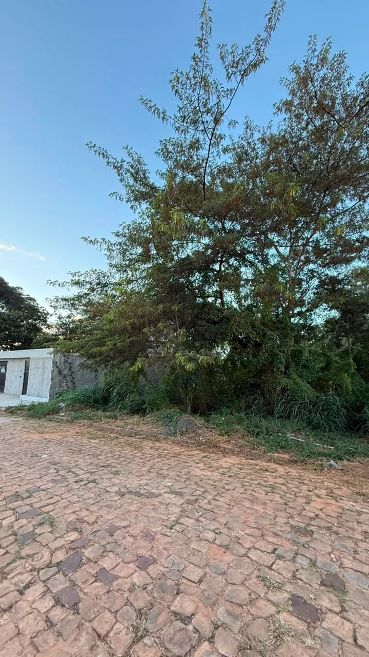 TERRENO À VENDA – VILA DAS FLORES | Pedro II/PI
