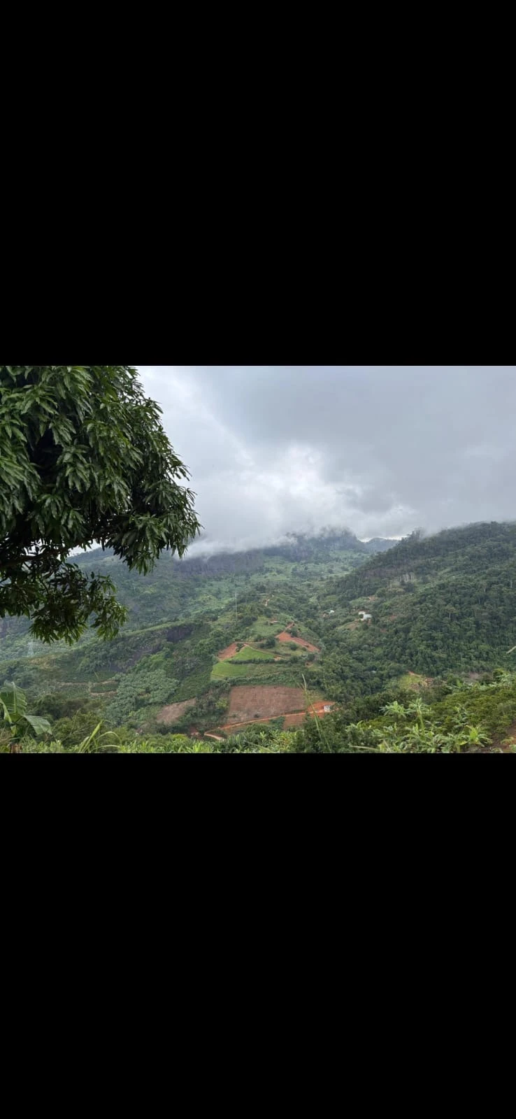 Oportunidade em Biriricas: 13 Hectares com 1 Hectare de Bananal | Aceito Veículo na Negociação